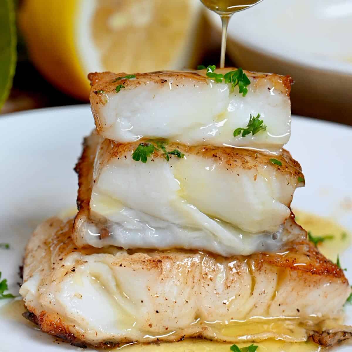 Chilean Seabass