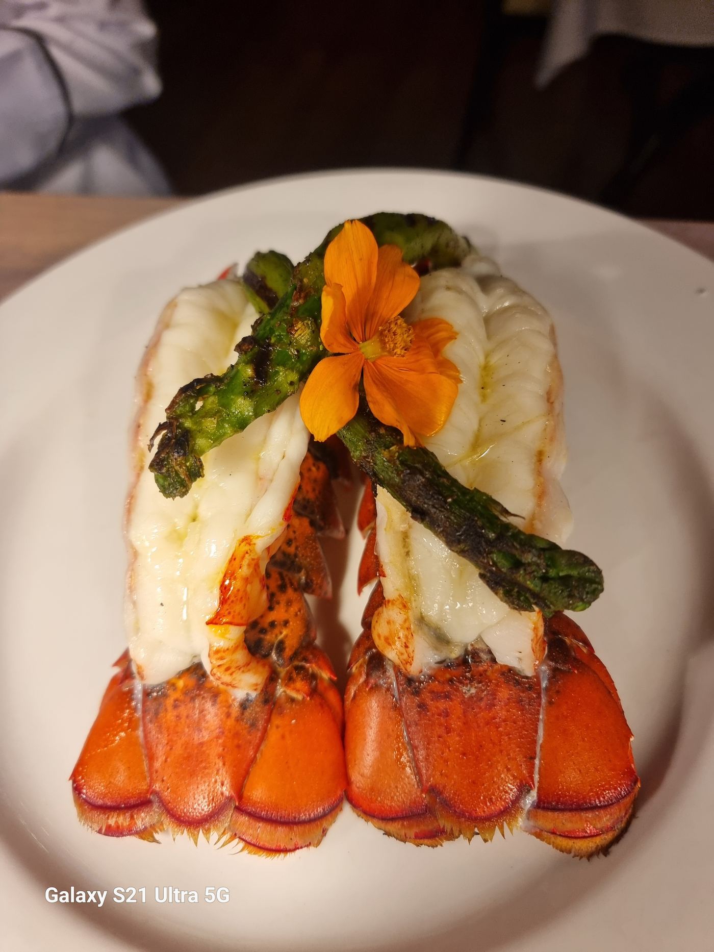 Maine Lobster Tails